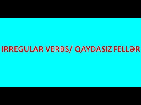 Video: Probiyotikiniz Var? O Zaman 'qaydasız' Ev Heyvanlarınıza Kömək Edə Bilərsiniz (bəlkə Də)