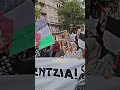 Leve Palestina تحيا فلسطين مترجمة الى العربية 
