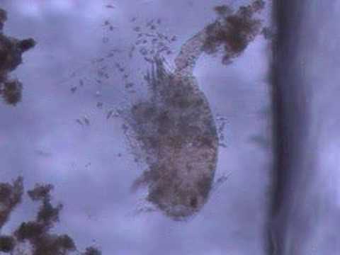 Pond 09/30/2006 pt 7 Pond 09/30/2006 pt 7