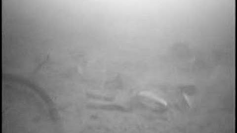 Homebuilt Seafox Rov First Test Dive