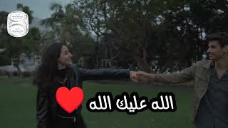 حالة واتس - حبيبي يا نور العين 👀❤️ - عمرو دياب
