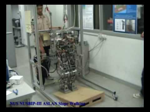 NUS Humanoid Robot - ASLAN 02 walk&slopewalk