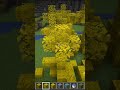 sunless and eldersunless #minecraft #shorts #levelup #magic #map