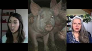 What Happens at a Pig Vigil? Lisa interviews Melissa Doran