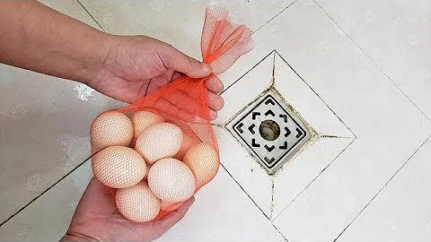 衛生間地漏有異味，教你個絕招，徹底解決臭味和小飛蟲，方法實用 - 天天要聞