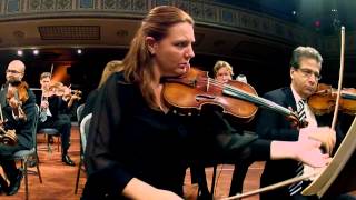 Beethoven 5th Symphony, Mov I (2nd Violin)