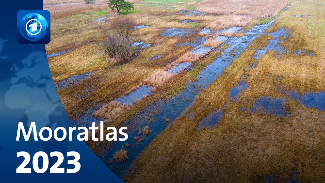 Unberührte Landschaft: Das Schwarze Moor in der Rhön | Zwischen Spessart und Karwendel | Kurz-Doku