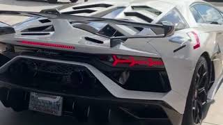 Reacting to the best Lamborghini - BMW - Porsche videos
