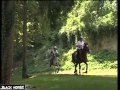 Distanzreiten - Info Video - Endurance Riding - German version