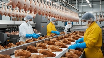 Inside the Chicken Factory — From Million-Egg Output to Full Meat Processing Line (Full Process)