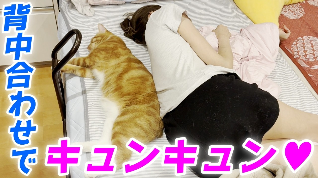 -愛と幸福を置く猫- Mom and her youngest cat were sleeping together, back to
