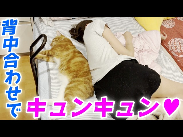 Mom and her youngest cat were sleeping together, back to