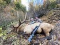 Our Hunt - Once In A Lifetime, OR Elk Hunt (Part 1)