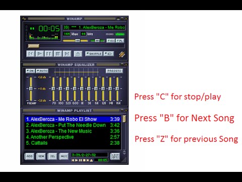 Winamp Shortcut Keys For Next Previous Stop Play Youtube