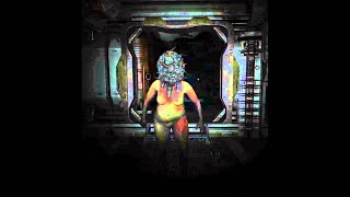 Off to lambda | Soma Part 2