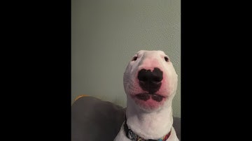 Payday 2 crashing on startup