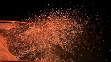 Beroep van ansjovis-, makreel- en zeevisdelver in Nhan Trach - Sea People