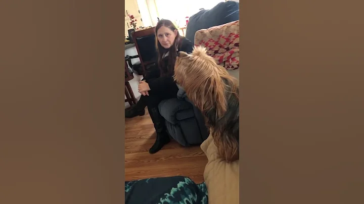 Hannah howling