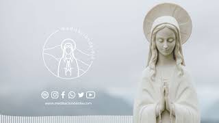 Meditación del Día | Viernes 31 de mayo de 2024. Querido Jesús.