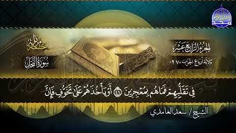 سورة النحل الشيخ سعد الغامدي #سعد_الغامدي #quran #qurantilawat #قرآن #سورة_النحل