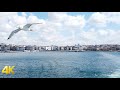 Ferry ride with seagulls from Kadıköy to Karaköy Istanbul, Turkey 4k 60fps