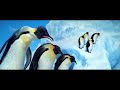 Mumble Happy Feet Mumble Happy Feet