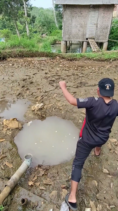 Looking for fish in the puddles of water from the drained pond