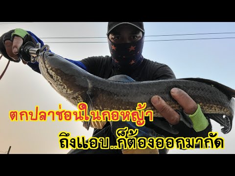 ผลสลากกินแบ่งรัฐบาล วันที่ 1 พย. 2567