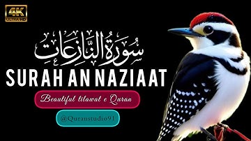 Surah An-Naziat (سورة النازعات) Heart touching voice ⋮ @Quranstudio91