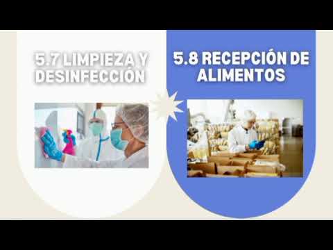 Video: Tipos De Disposiciones