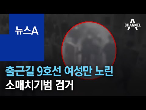 출근길 <strong>9호선</strong> 여성만 노린 소매치기범 검거 | 뉴스A