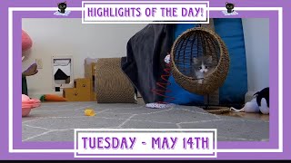 Highlights of the Day! - Tuesday May 14th - Bonus Cute Clips!