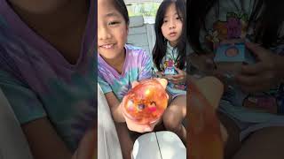 Emma & Kate Unbox FAKE Squishy Dumplings!
