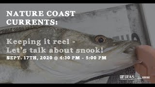 Nature Coast Currents - Snook