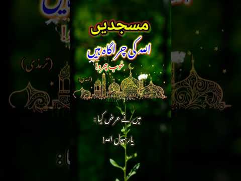 #shorts Masjid me ALLAH ka khub zikr karo|hadees sharif|hadees shareef @mohammadi_313 @islam_314