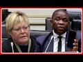 DA Breytenbach Questions LT General Mkhwanazi I Am Sure You Can Prove Sibiya Allegations Right