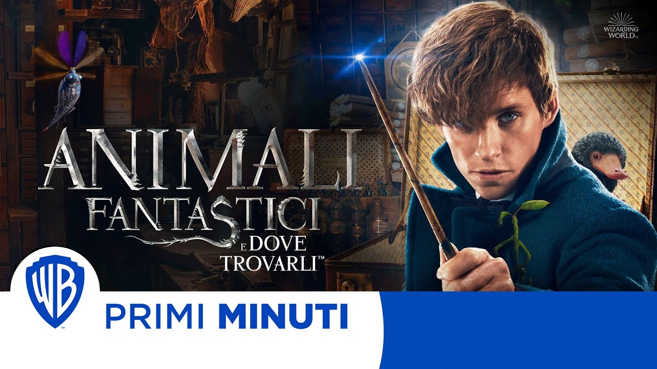 Animali Fantastici E Dove Trovarli Streaming Ita Eurostreaming