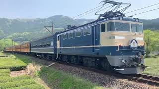 大井川鉄道のEF65-501　　ED31
