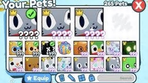 Pet Simulator x - Pet changer and partner script!