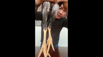 coj nej mu saib kuv cov nyuam ntsuag qaib nawb