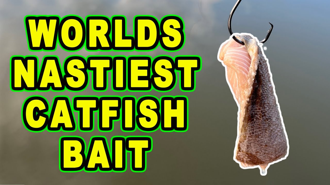 Fishing with the Worlds Nastiest Smelling Catfish Bait 