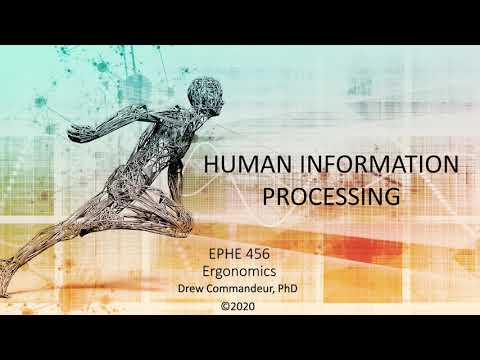 Human Information Processing