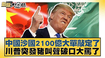 中國沙國2100億大單敲定了 川普突發豬叫聲破口大罵了【#新聞大白話】20251118-12｜#楊永明 #林郁方 #李大中