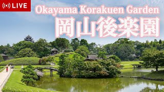 【LIVE】岡山後楽園ライブカメラ Okayama Korakuen Garden