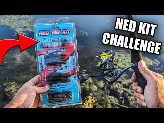 Z-Man Ned Rig Kit Fishing Challenge (Easy For Beginners) 