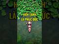 Càng đi qua nhiều thăng trầm cuộc đời, ta càng thấm thía 1 điều: hiền lành là phúc khí. #shortsvideo