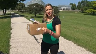 How to make your own box to view the eclipse