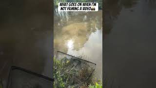 #fishing #carpfishing #carp #angling #fish #angler #carprigs #fishinglife #carpy #carpangler