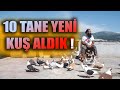 10 TANE YENİ KUŞ ALDIK: SANIRIM BİRAZ ABARTTIM! İSKENDERUN