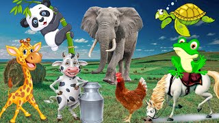 Learn the food of animals: dogs, cats, cows, elephants, chickens - animal sounds